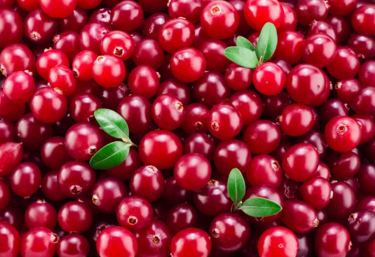 Veja os benefícios do Cranberry em sua saúde e como consumir a fruta